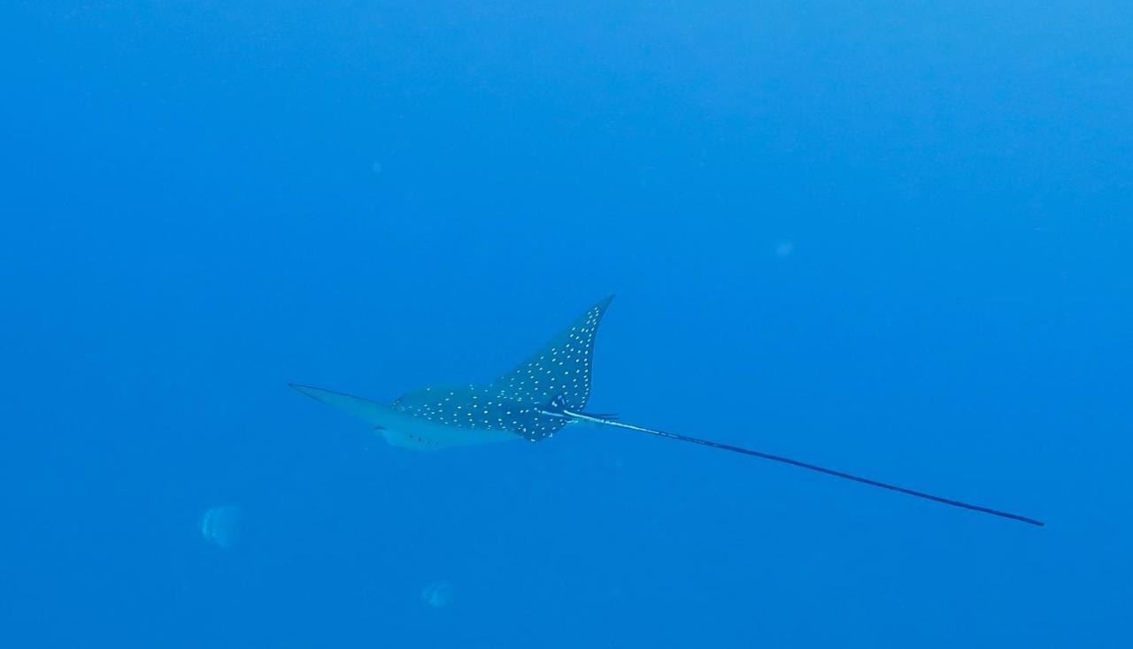 Hotel Island Guest Maamendhoo Zewnętrze zdjęcie